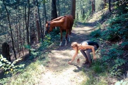 1069903_10151724096445295_449813767_n