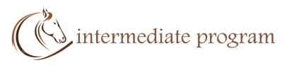 intermediate program